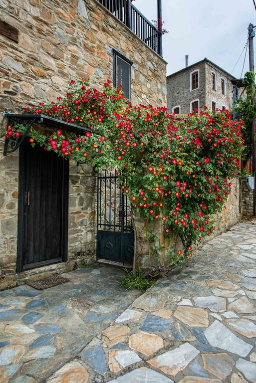 Mulberry House Villa Sithonia ภายนอก รูปภาพ